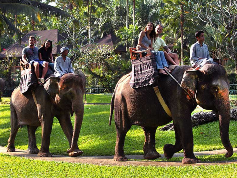 Elephant Park and Safari Ride