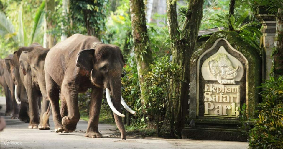 Elephant Park Admission Fee