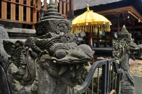 Balinese Unique Stone Carving